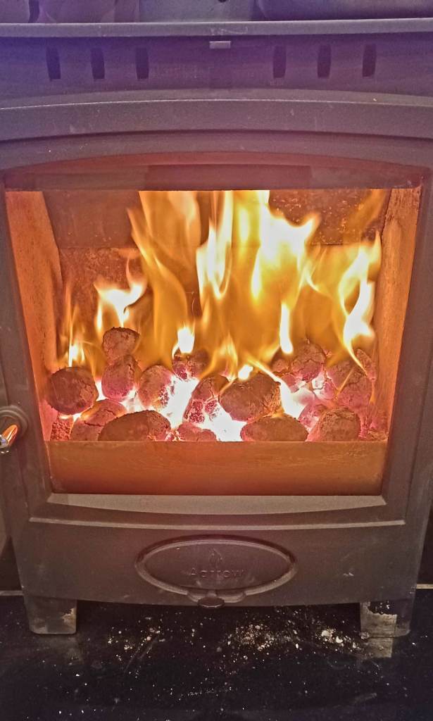 Premium Grade Smokeless Coal Ovoids 