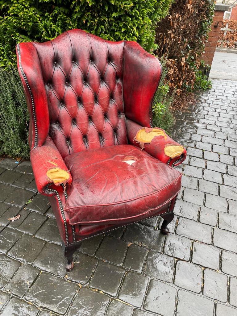 image for Red leather Chester wing back armchair 