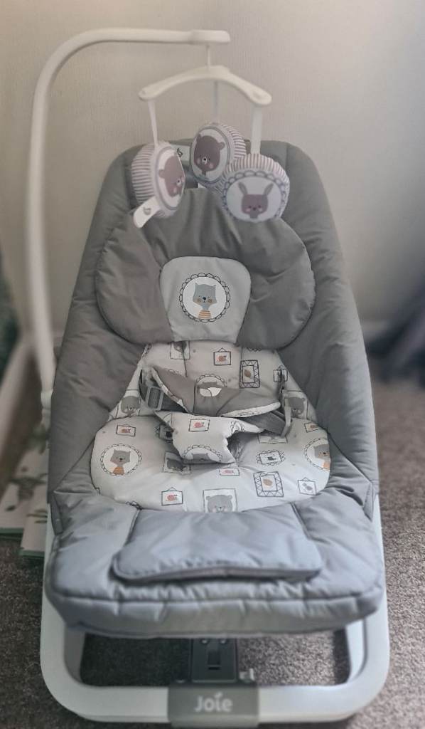 Joie Dreamer rocker baby bouncer