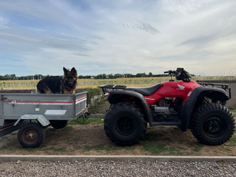 Honda trx 350