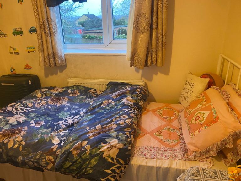 Single Room for rent