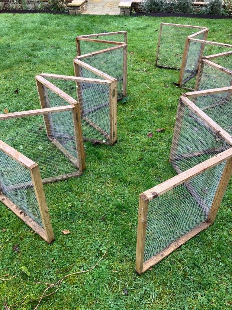 Rabbit or Chicken run 