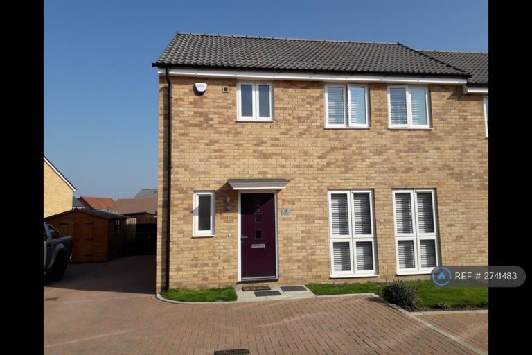 3 bedroom house in Meerkat Mews, Stanway, Colchester, CO3 (3 bed) (#2741483)