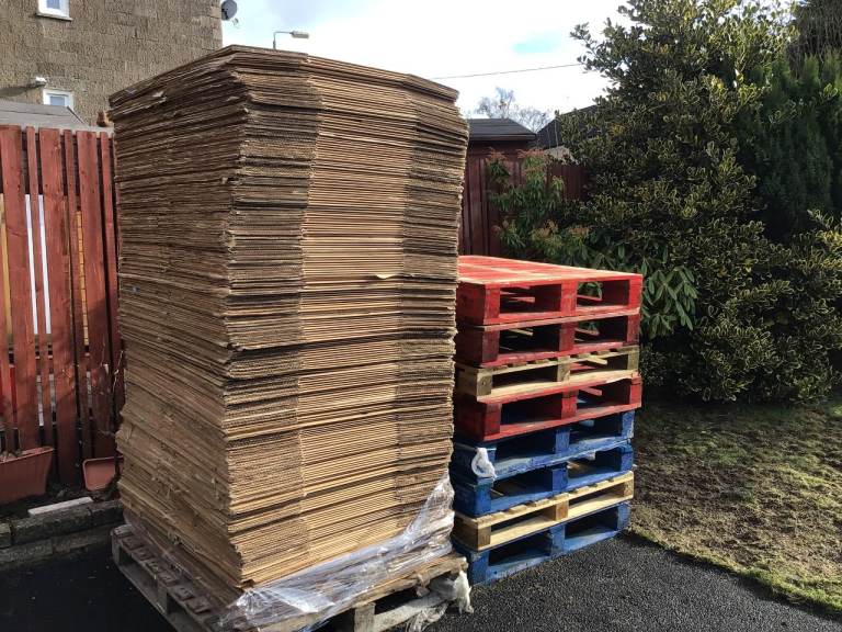 XXL Strong Moving Shipping Box 22.8 x 15.4 x 14.6 inch East End, Glasgow