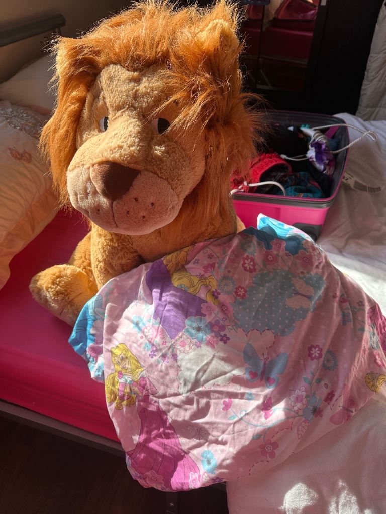 Disney double bedding and large Lion Teddy FREE