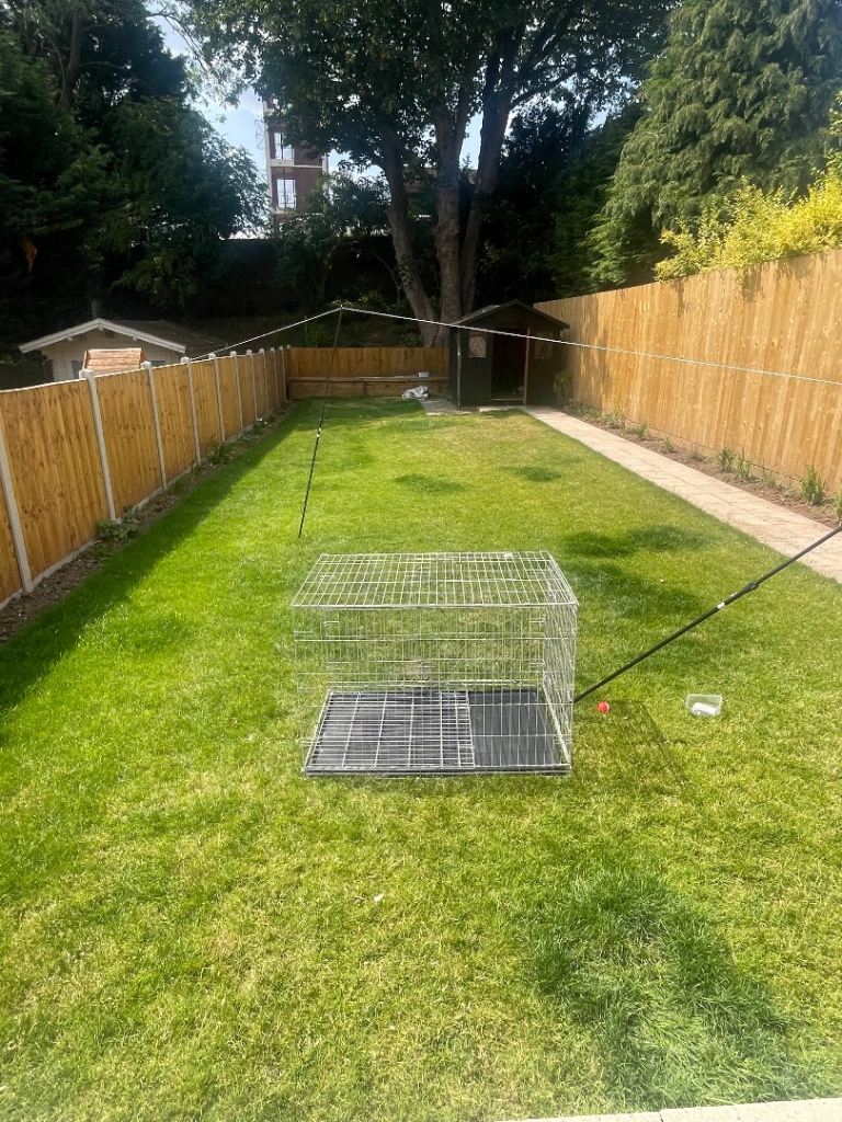 Large dog crate 