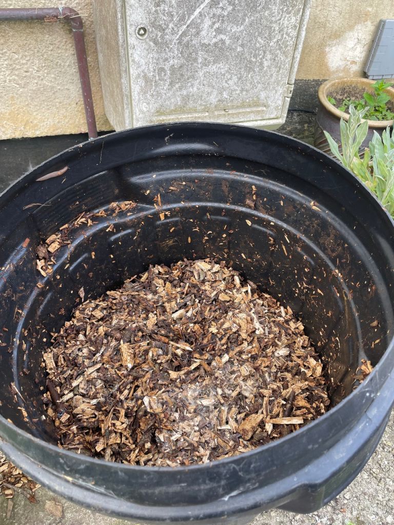 Wood chippings