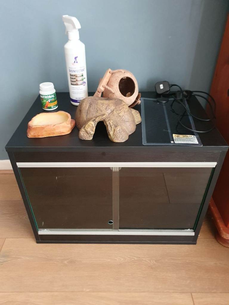 Reptile terrarium 