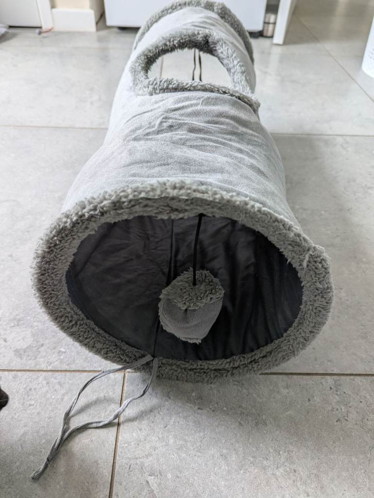 Grey cat or kitten tunnel 