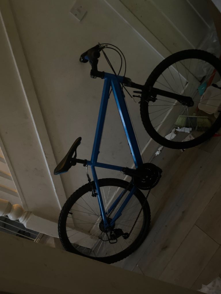 It’s is a mountain bike called team bike