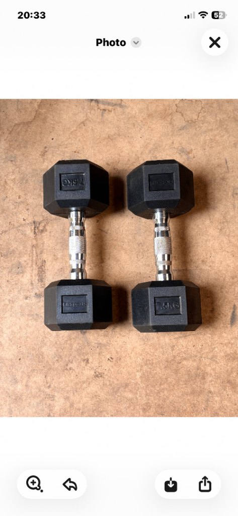 Set of 2 7.5kg dumbbells 