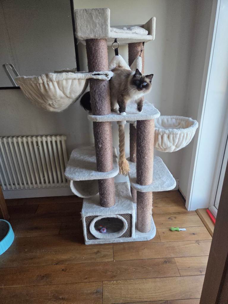 'Cat Tree UK' Large Sturdy Cat Tree. Cost £330 new.