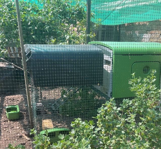 Eglu Cube Chicken Coop with 3m run for 6 large hens