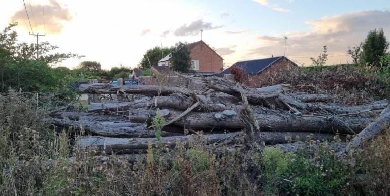 Seasoned Softwood Logs - ready to burn
