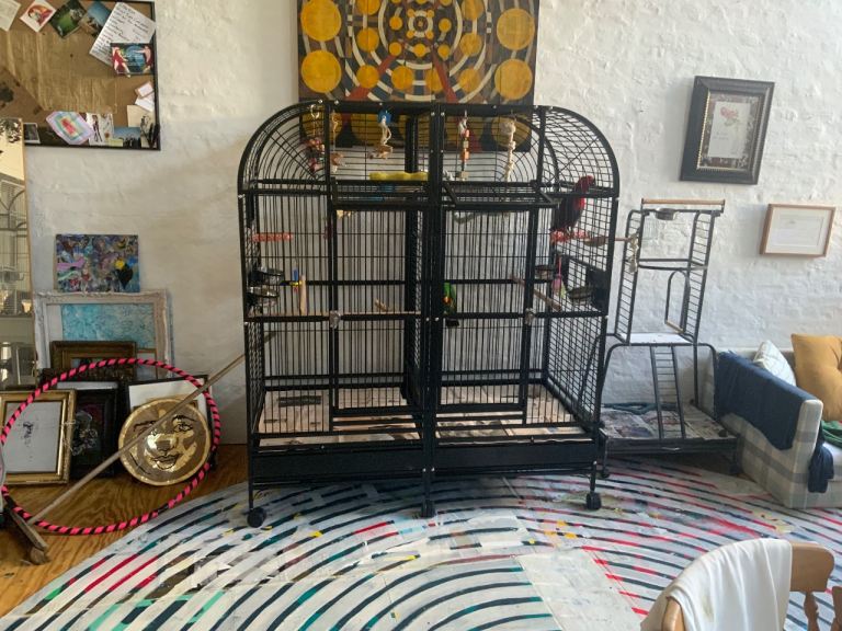 Incredibly spacious parrot cage for sale (with optional divider in the middle)