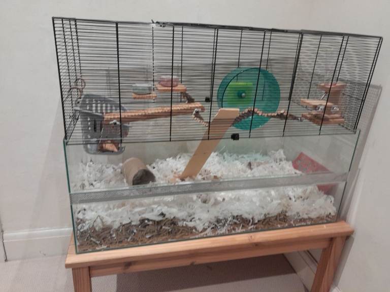 Large glass pet cage Gerbilarium with all accessories 