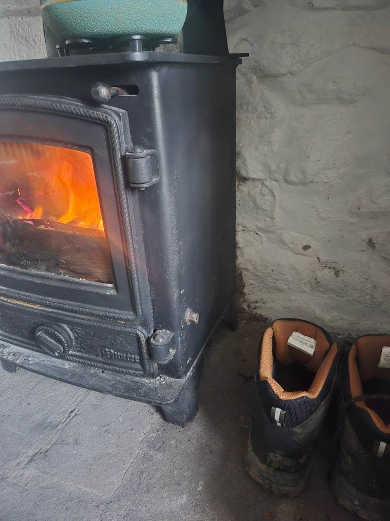 Hunter Herald 4 Wood Burning Stove 