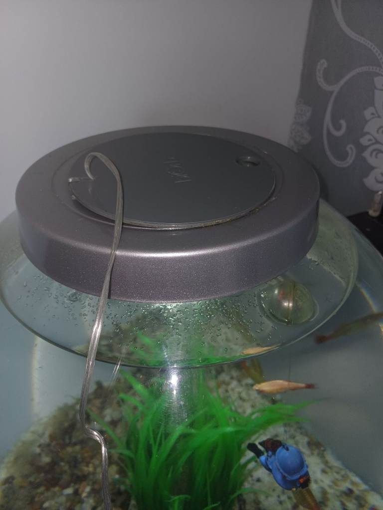 Large biorb Led light
