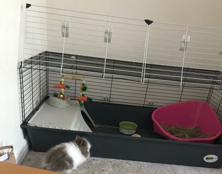 Ferplast Rabbit & Guinea Pig Cage 120 (indoor hutch)