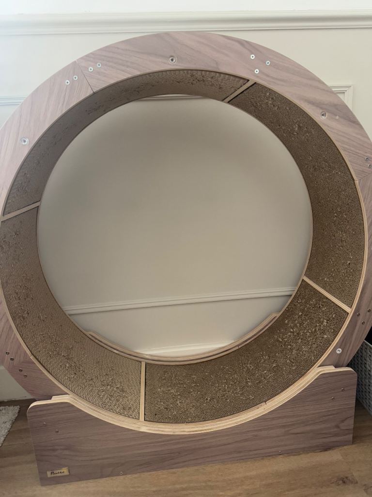 Cat scratch wheel