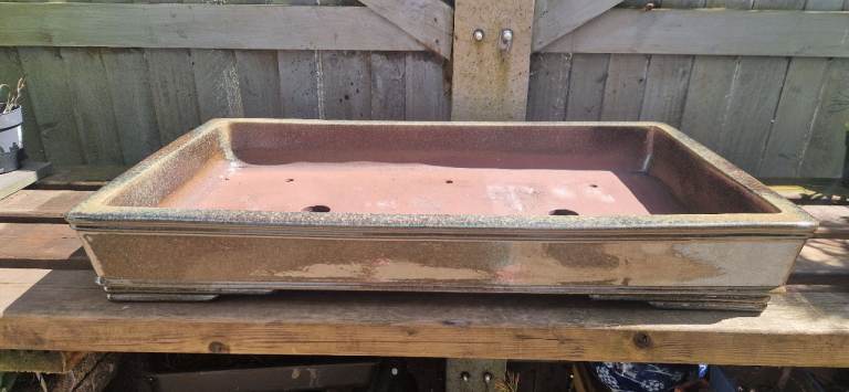 Extra Large Bonsai Tree Pot