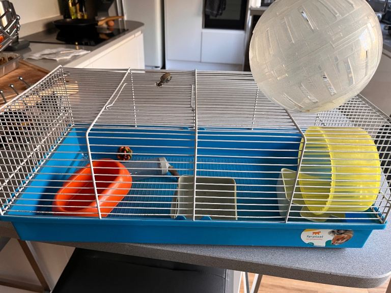 Hamster cage and accessories 