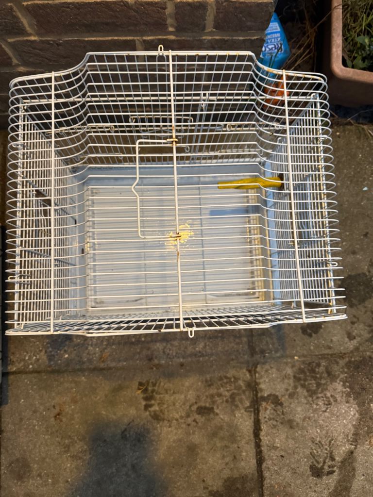 Bird Cage