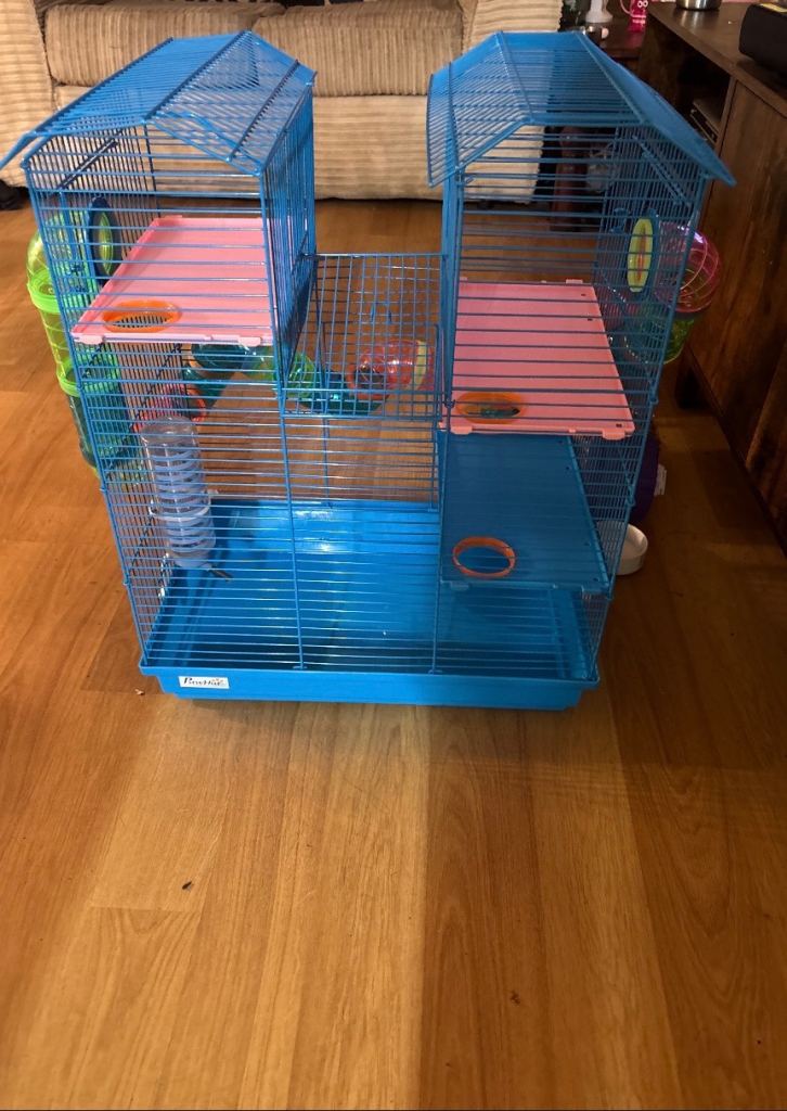 Hamster cage 