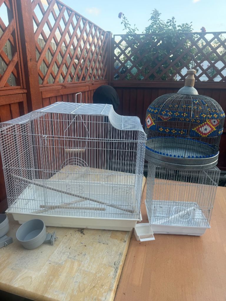 Birdcage