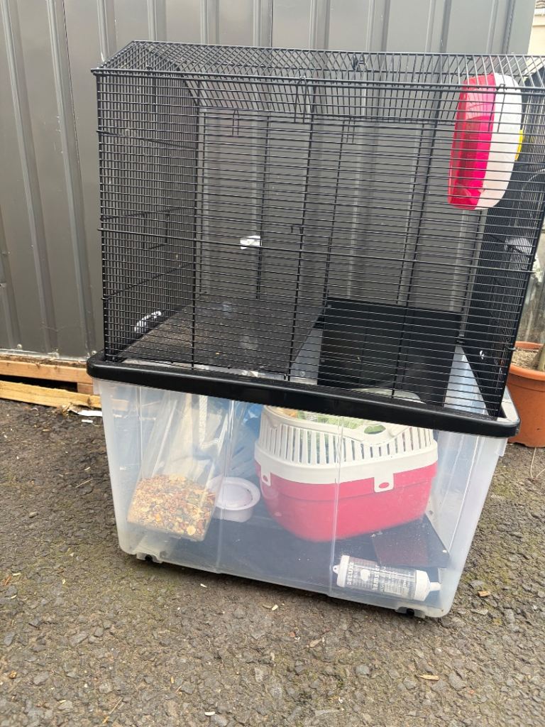 Hamster cage with accessories FREE