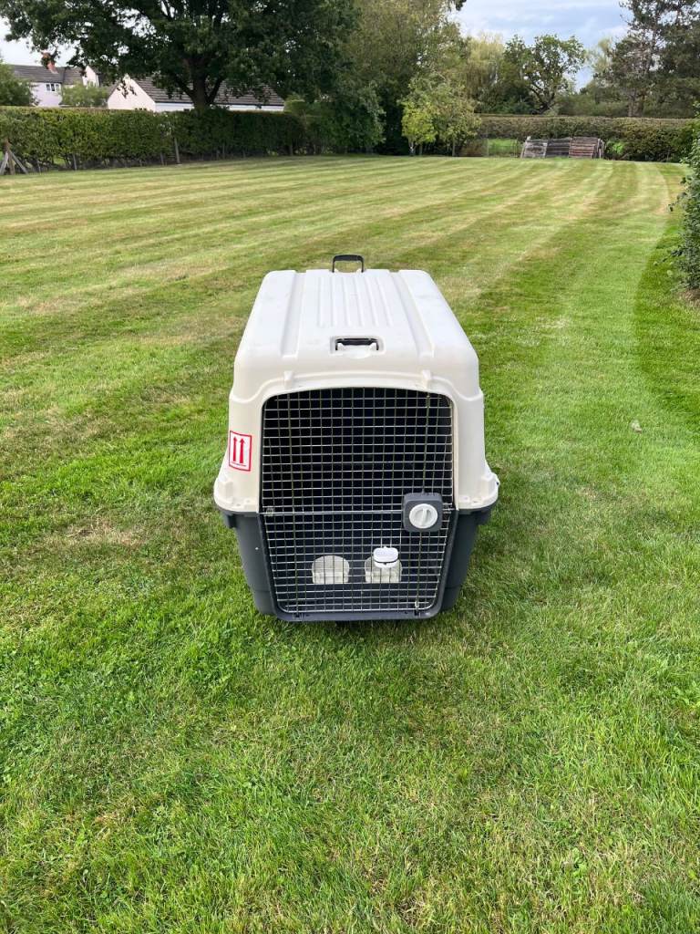 Dog crate for travel