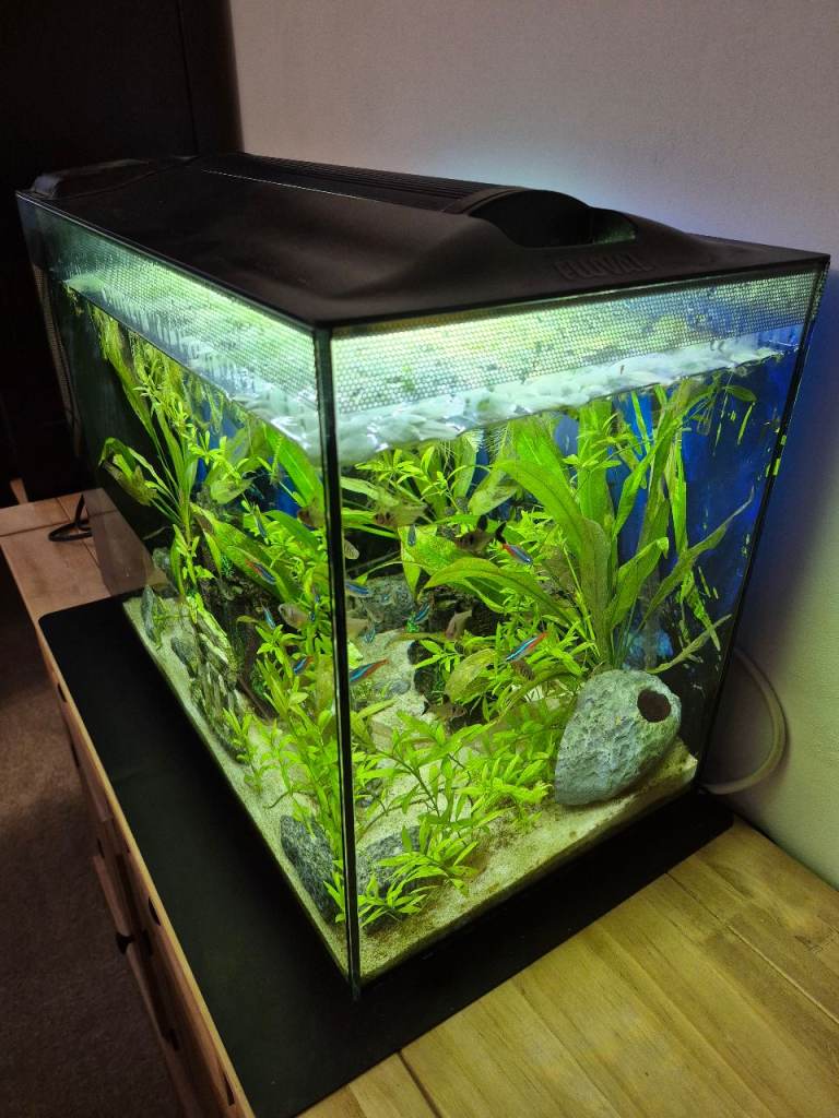 Fluval Sea Evo 52L fish tank/aquarium