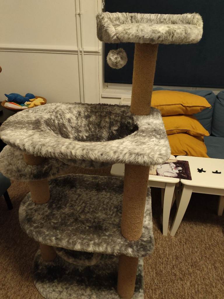 Cat tree, auto feeder and/or cat toys and accessories