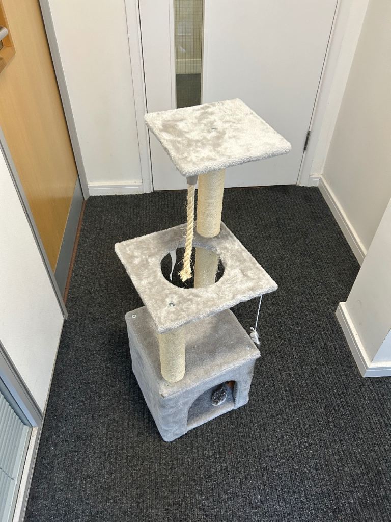 Cat play tower in nice condition 