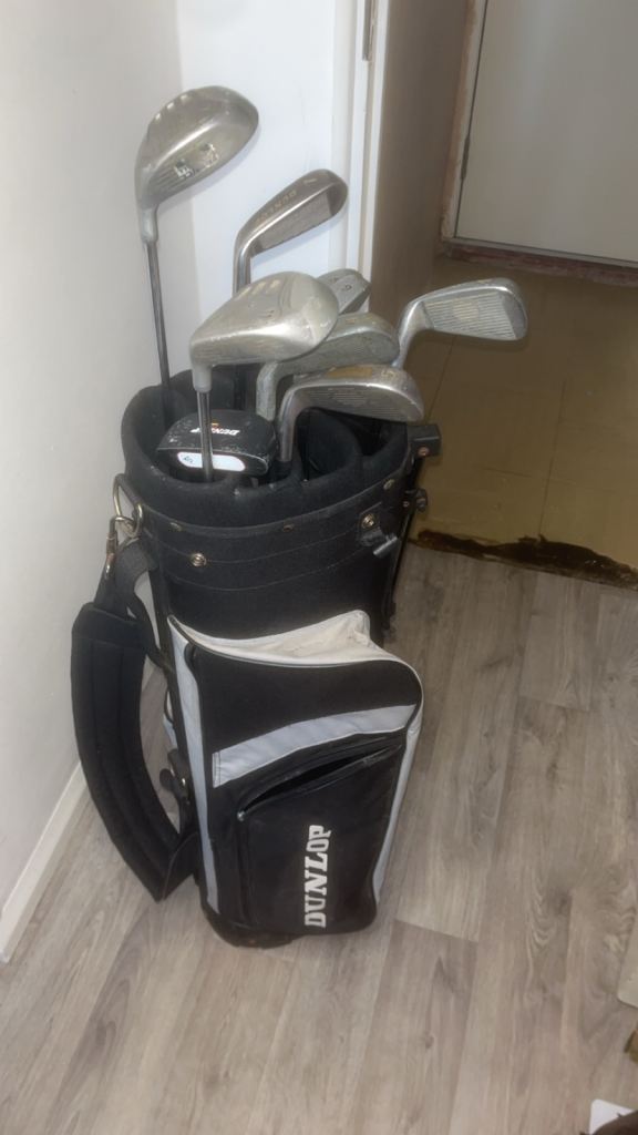 Golf club set and carrier 