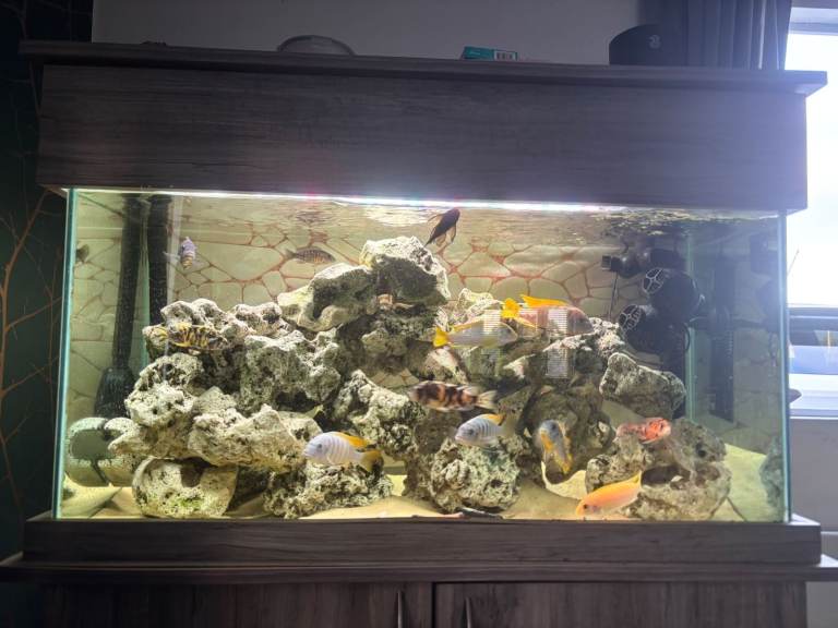 Large Glass Aquarium with Cabinet and Fish