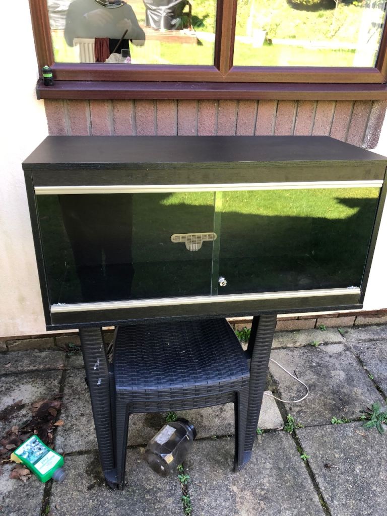 Vivexotic vivarium no offers please 