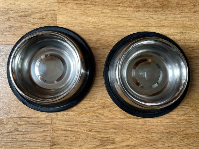 2 stainless steel dog food bowls with silicone base