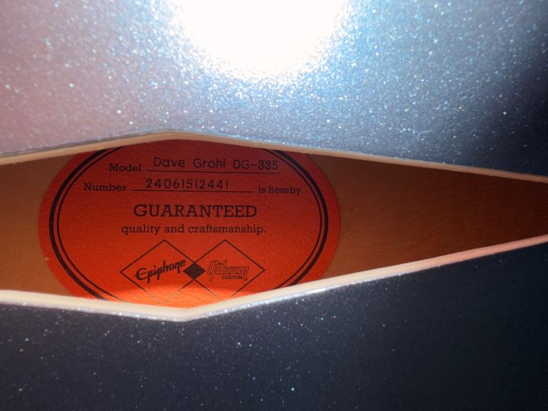 Dave Grohl Epiphone Signature DG-335 - Open to non insulting offers.