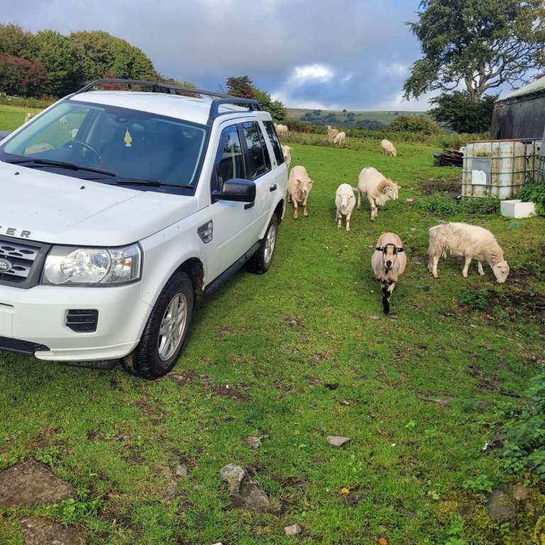 Land Rover, FREELANDER, Estate, 2012, Manual, 2179 (cc), 5 doors