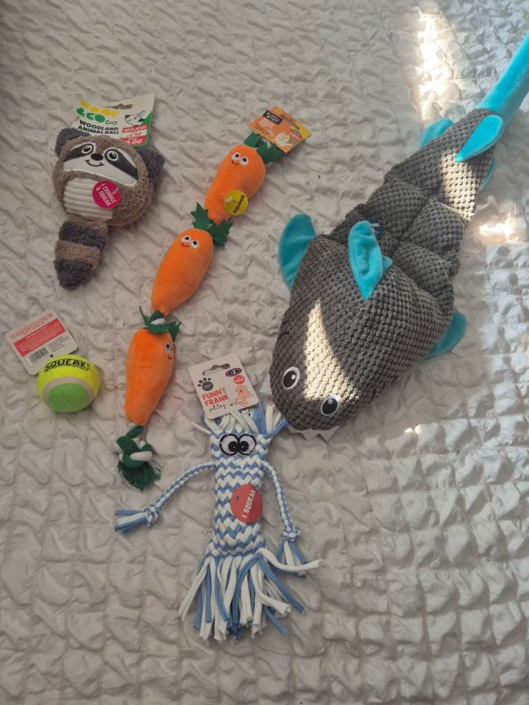 New dog toys 