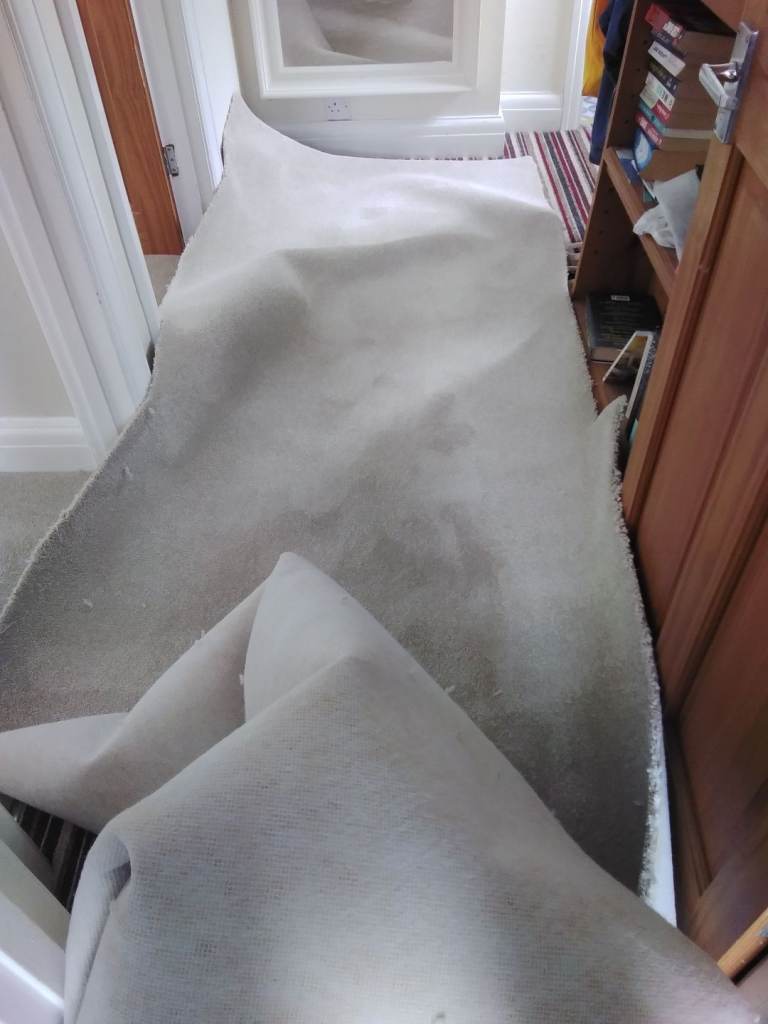 Carpet remnant  brand new 
