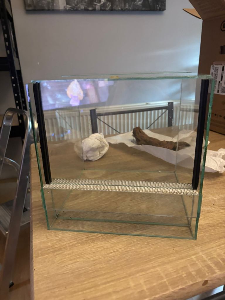 Tarantulas Enclosures 