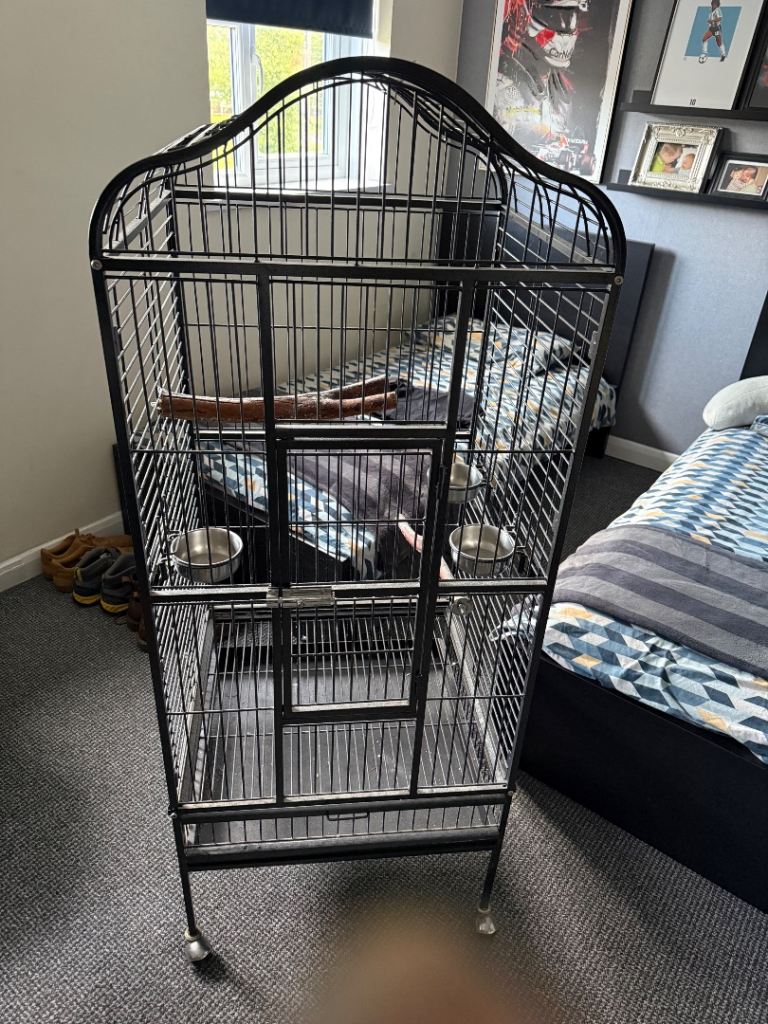 “Free” Large Bird Parrot Cage