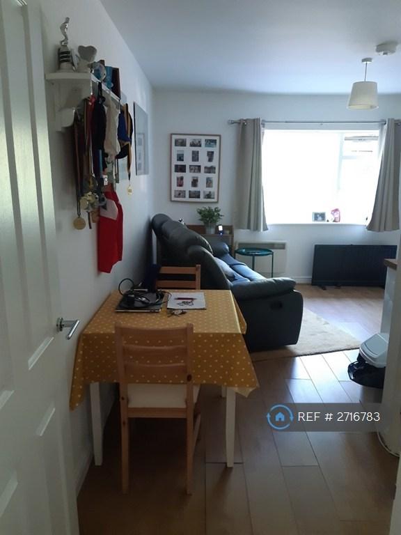 1 bedroom flat in Hamilton Road, Taunton, TA1 (1 bed) (#2716783)