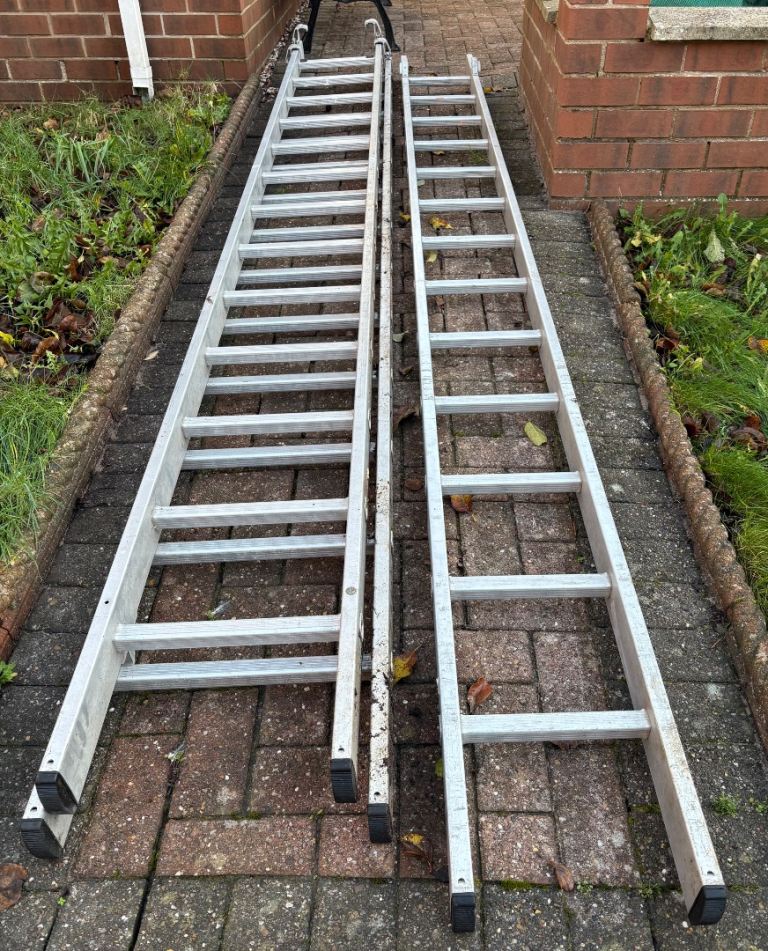 image for Youngman Triple Ladders