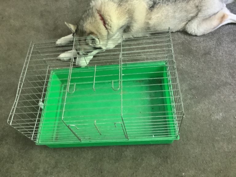 Basic Hamster cage, also suitable for other small animals