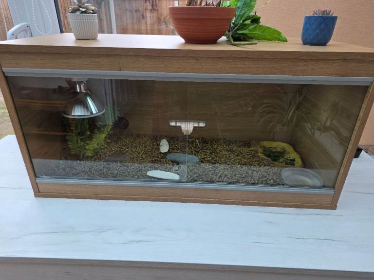 Vivarium 