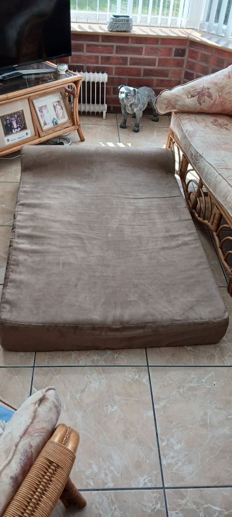 Large pet bed / small futon