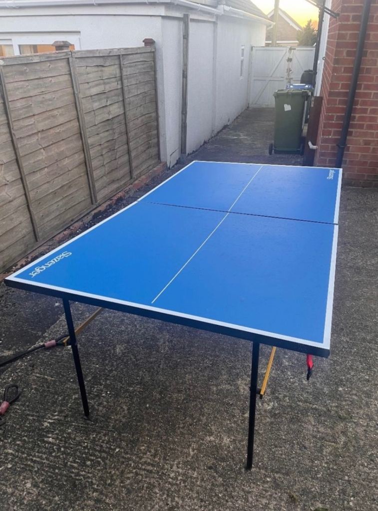 Table tennis table